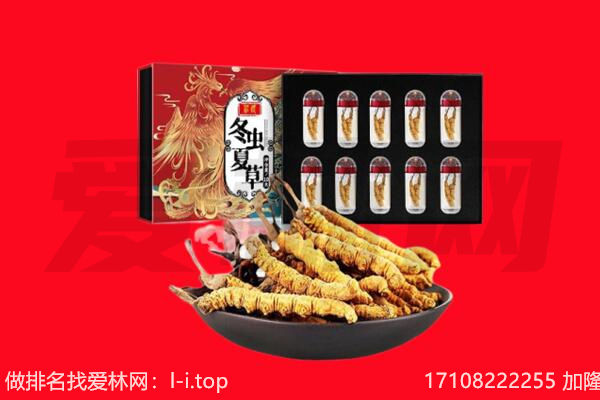 水城区回收虫草.jpg